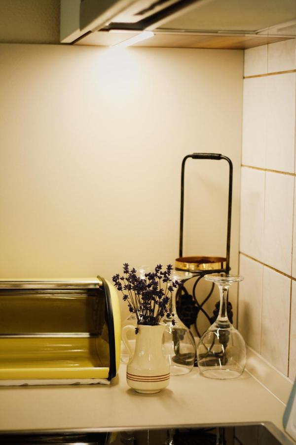 Apartman "Pod Rokem" Sušice エクステリア 写真